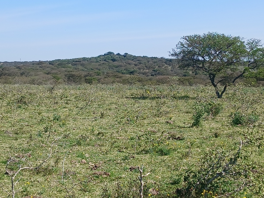 0 Bedroom Property for Sale in Kei Road Eastern Cape